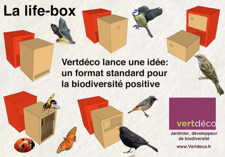 Life box par vertdeco