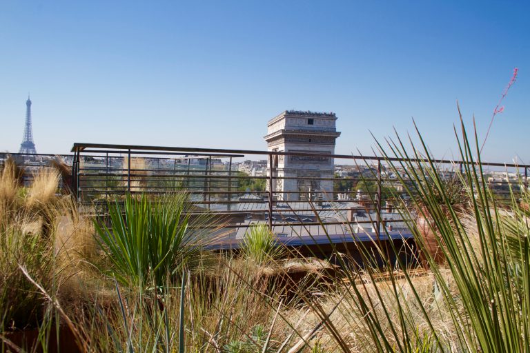 Biodiversité citoyenne d'honneur de la ville de Paris - Vertdeco